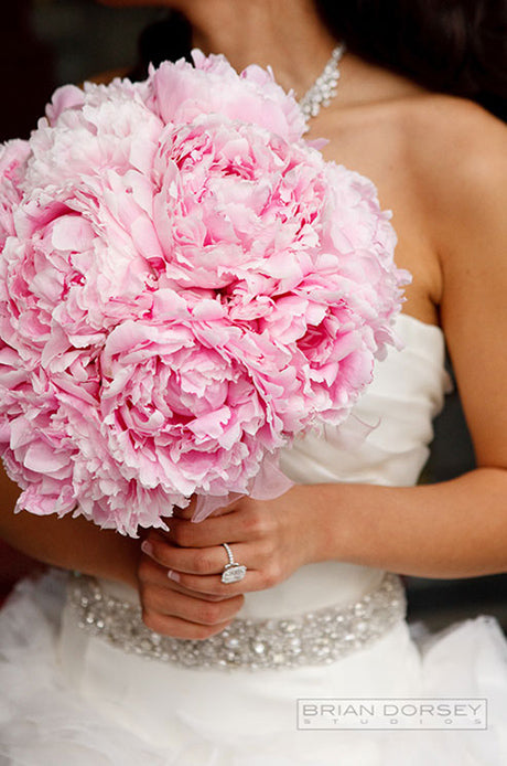 Collin-Cowie-Weddings-Pink-Peonies