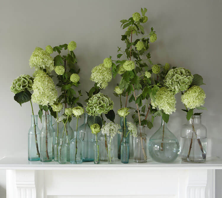 |pale green and green hydrangeas and viburnum in bud vases on a white mantel