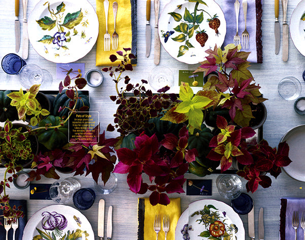 potted plant and squashes thanksgiving tablescape||||||||squashes with potted coleus and sweet potato vine in trays thanksigiving tablescape martha stewart living