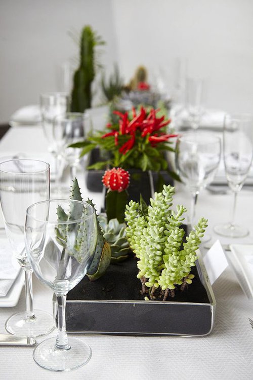 10 Ways To Use Succulents In Event Decor