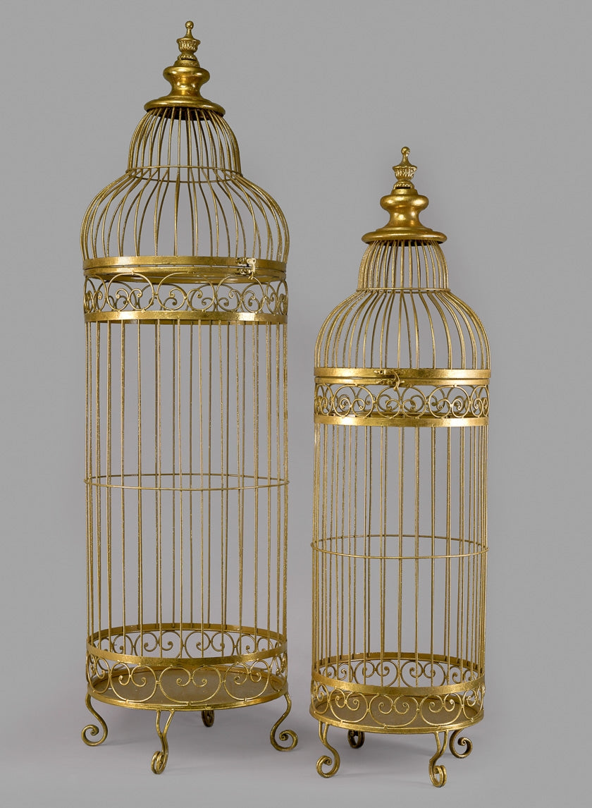 Bird Cages