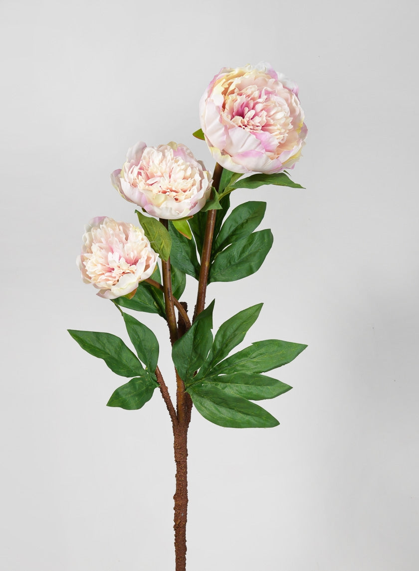 Wholesale Silk Peonies