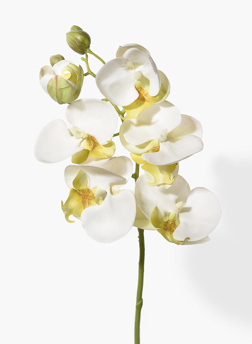 Wholesale Silk Orchids