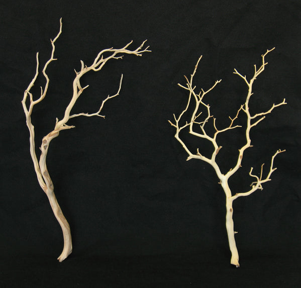 2ft &amp; 3ft Sanded Manzanita Branches