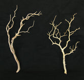 2ft & 3ft Sanded Manzanita Branches