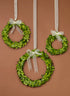 6, 7  1/2, and 10-Inch Ribboned Boxwood Wreath Set