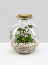 Iguasu Jar Terrarium with Cork