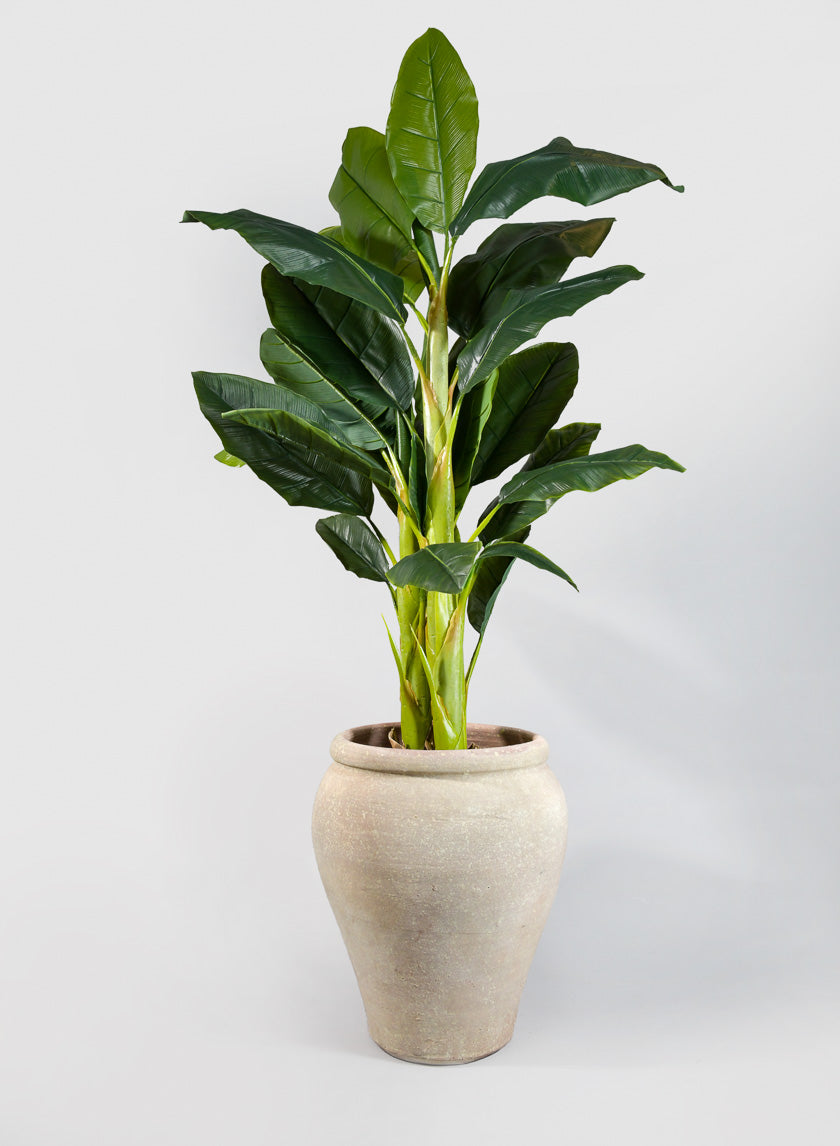 Olpe Jar Planter