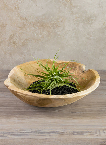 12in Makassar Teak Dish Bowl