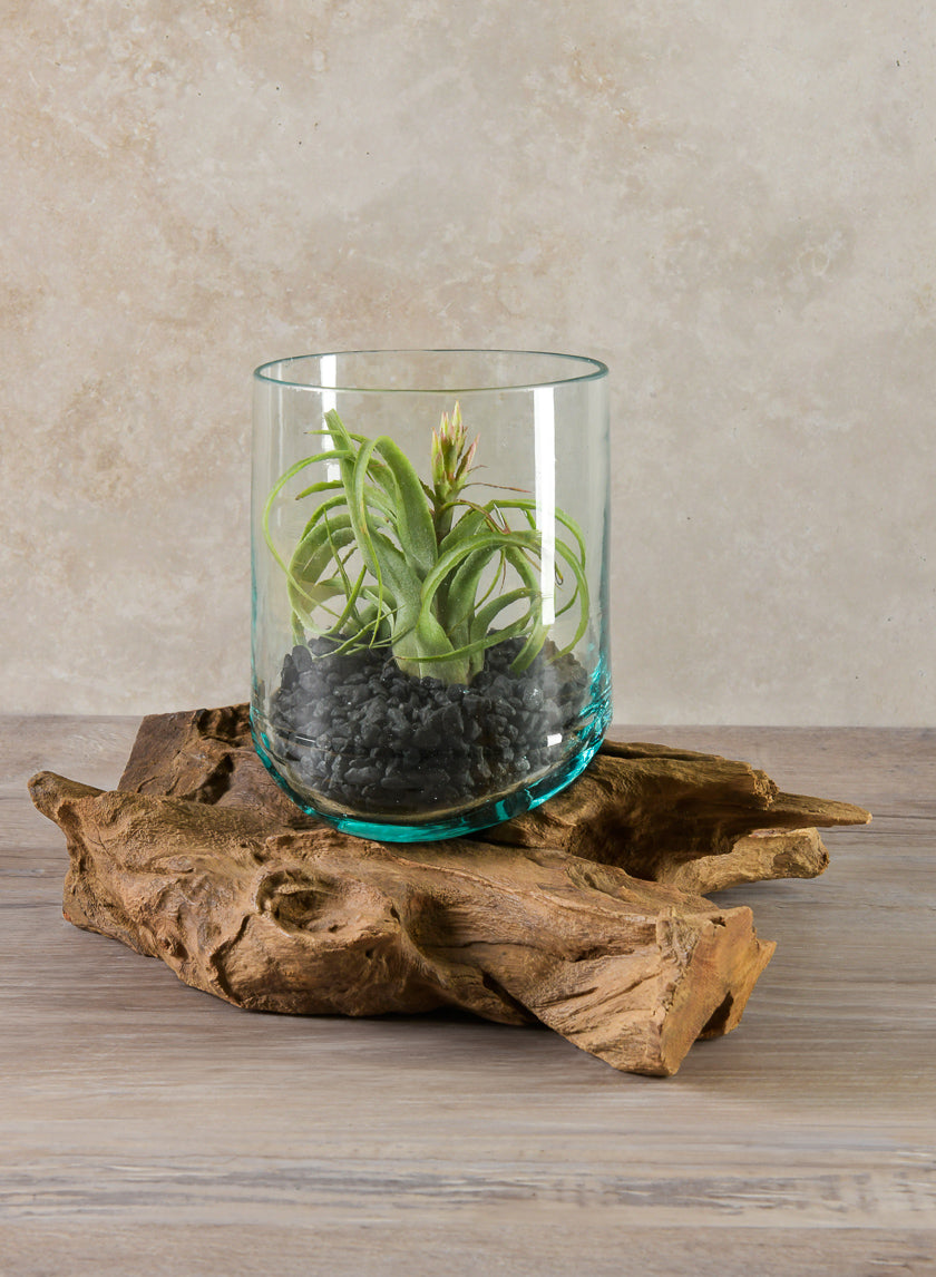 Jakarta Teak Stump With Glass Cylinder, Large