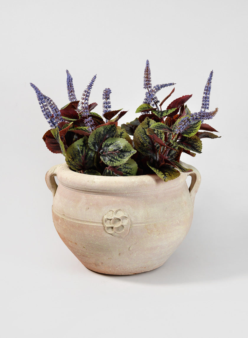 Calyx Pot with 2 Handles