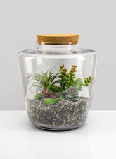 Large Pantanal Terrarium with Cork