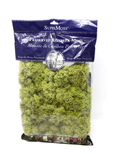 SuperMoss Chartreuse Reindeer Moss