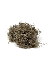 SuperMoss Preserved Natural Spanish Moss