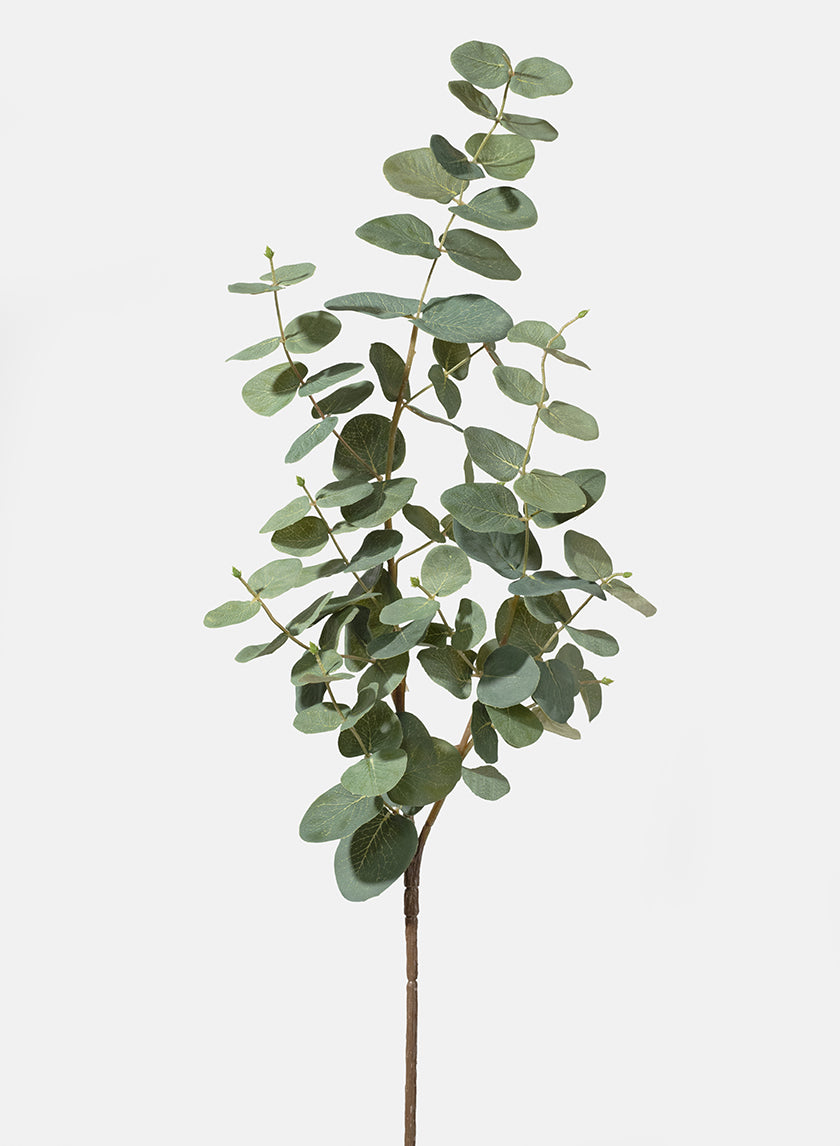 34in True Blue Eucalyptus