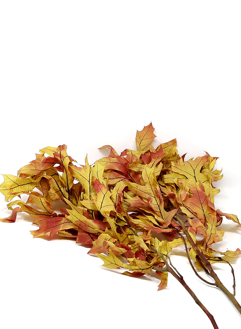 Transparent Autumn Oak Leaves, 1lb