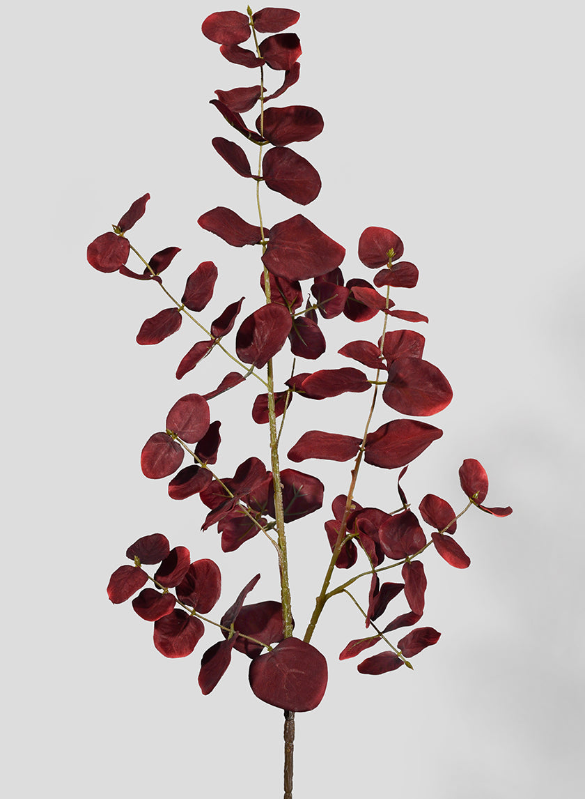 34in Burgundy Eucalyptus Pick