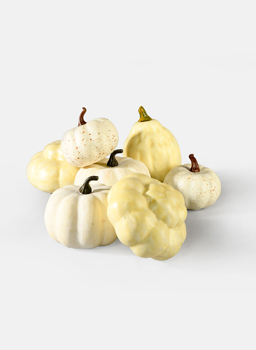 Assorted Harvest White Pumpkins