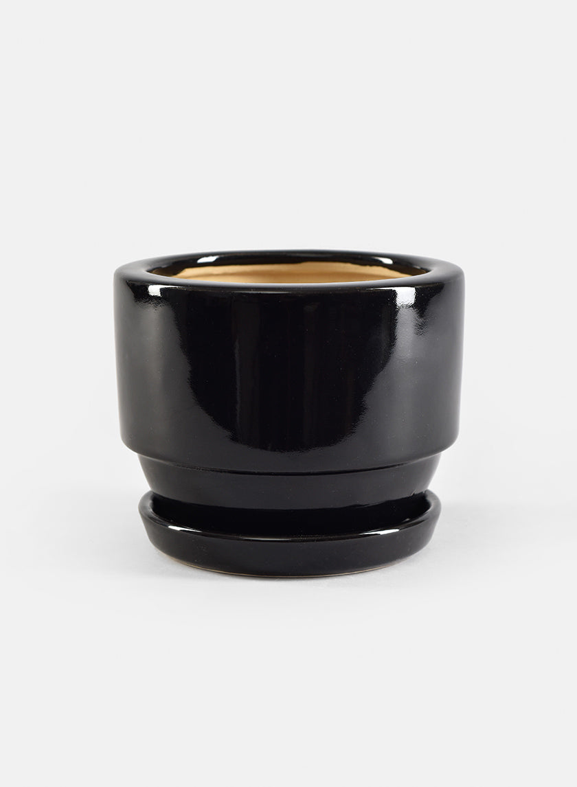 5in Glossy Black Pot &amp; Saucer