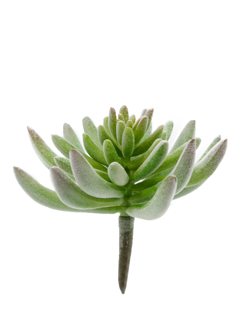 5in Finger Flocked Succulent