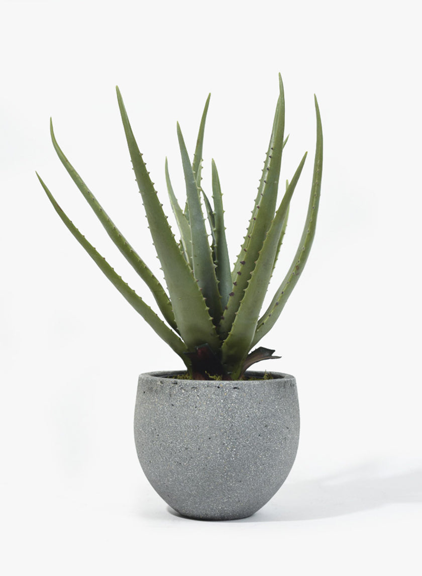 Round Rough Grey Ficonstone Pots