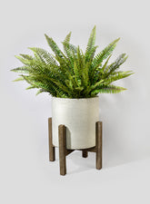 25in Leather Fern Bush