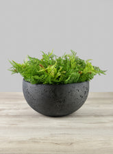 Yerevan Black Cement Stone Bowl Planter