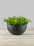 Yerevan Black Cement Stone Bowl Planter