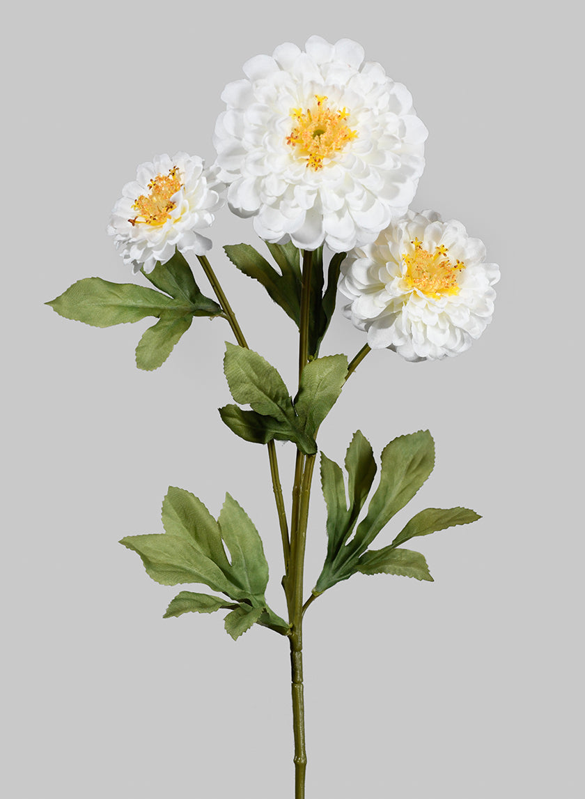 25in Cream Zinnia Spray