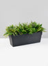 19  1/4in Loft  Black Window Box With Attached Saucer