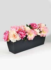 22  1/2in Anthracite Black Ninfea Window Box