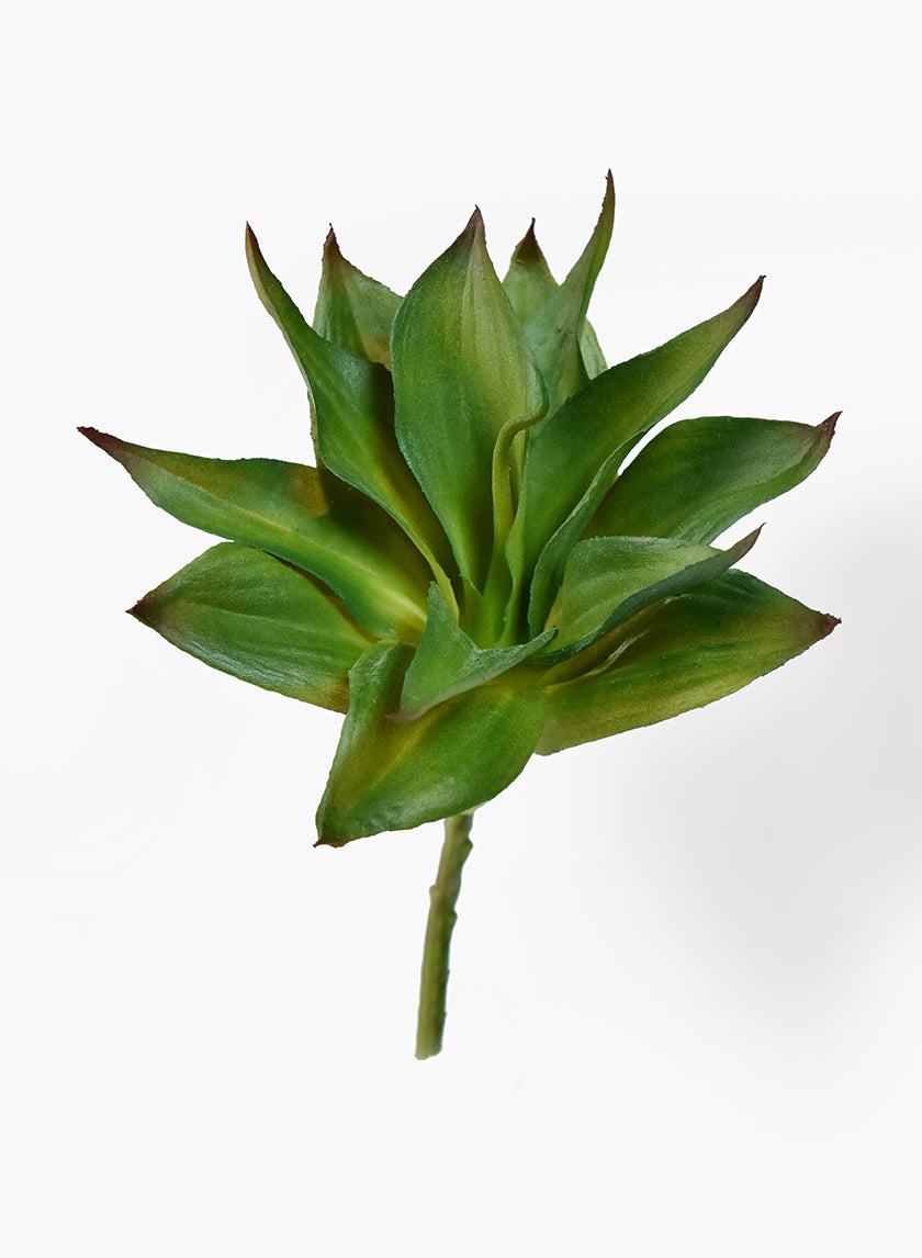 10in Dracaena Leaf Pick