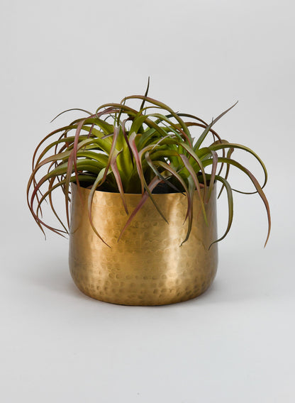 7in Mysore Aged Brass-Look Pot