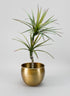 Devdas Brass Look Aluminium Indoor Garden Pot, Medium