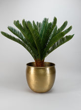 Devdas Brass Look Aluminium Indoor Garden Pot, Large