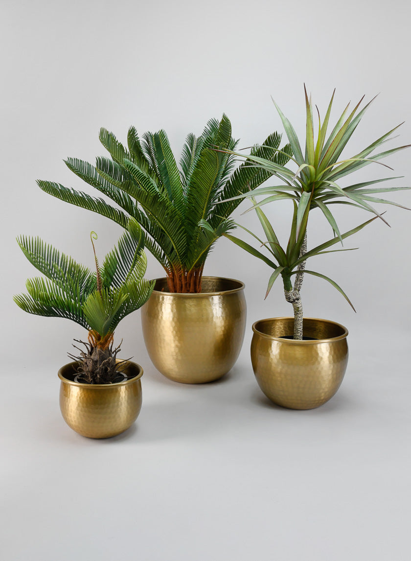 Devdas Brass Look Aluminium Indoor Garden Pot, Medium