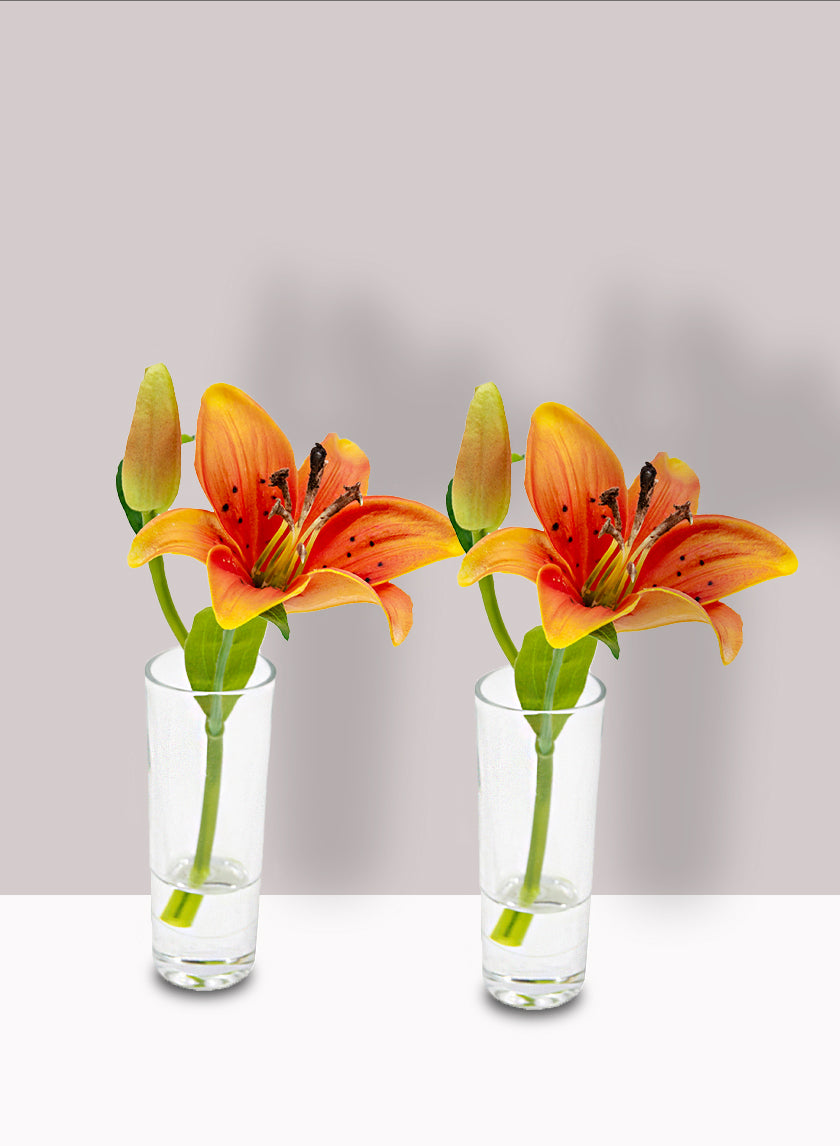 Burnt Orange Lily &amp; Bud in Clear Shot Glass