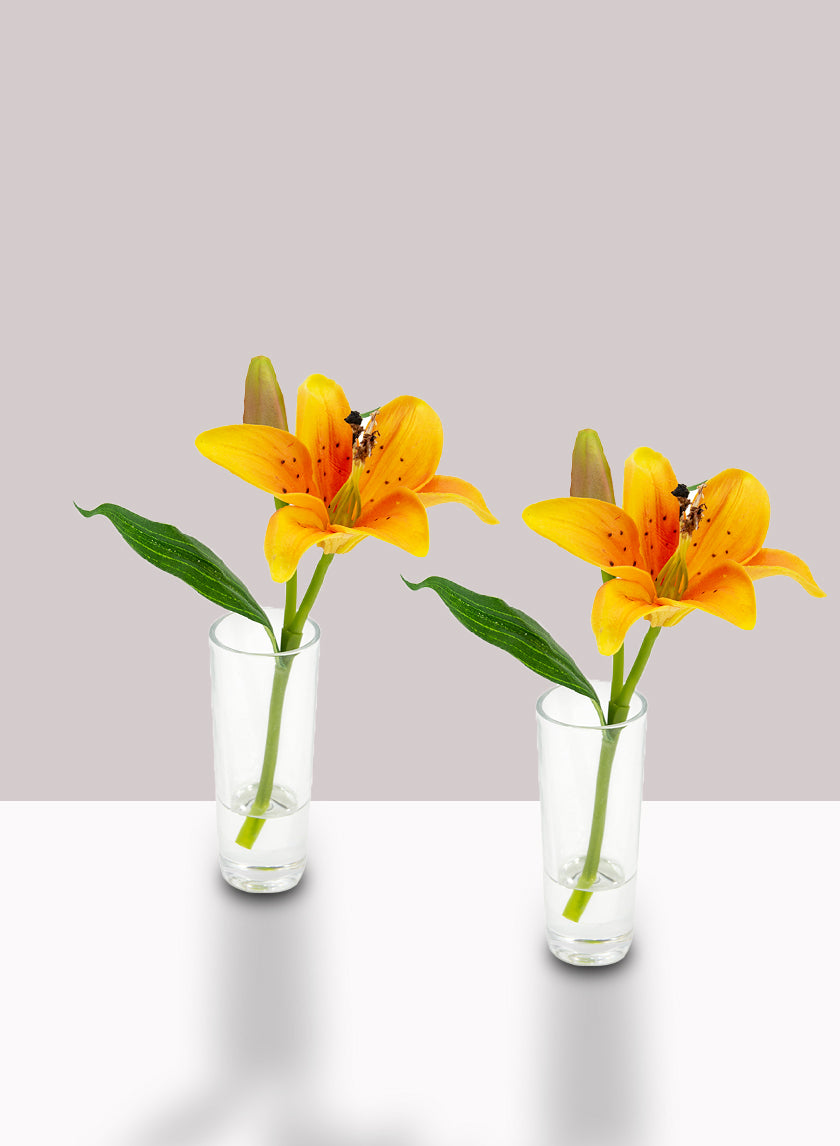 Orange Lily &amp; Bud in Clear Shot Glass