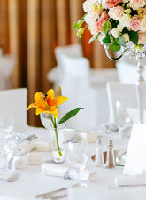 Orange Lily & Bud in Clear Shot Glass