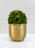 4in LuckNow Brass Look Aluminium Pot