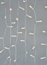 50 Warm White LED Lights Set, Clear Cord, Battery-Operated