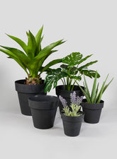 6in - 12in Black Standard Plastic Pots