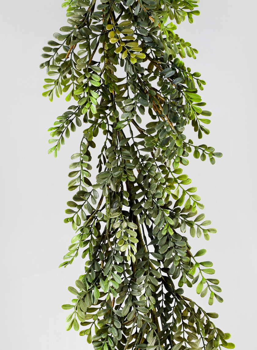 6ft Boxwood Leaf Garland