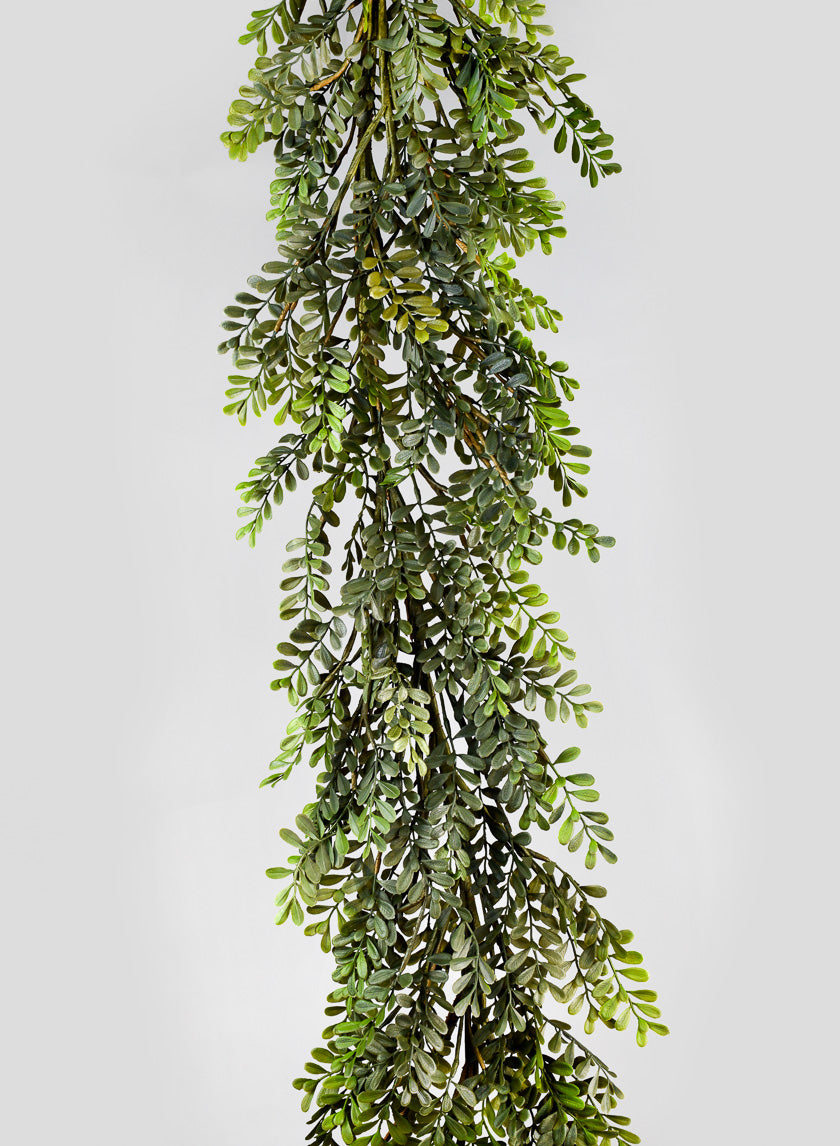 6ft Boxwood Leaf Garland