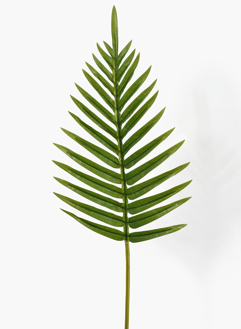 26in Fern Leaf