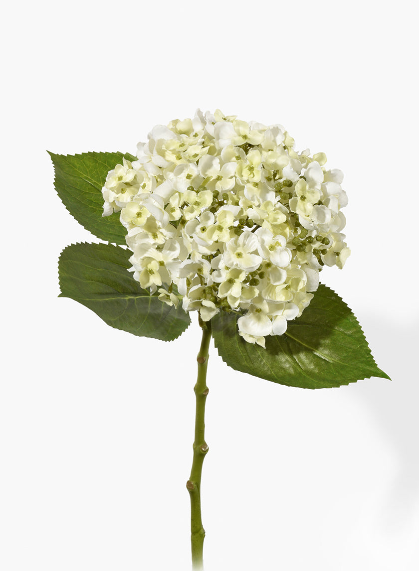 19in White Hydrangea