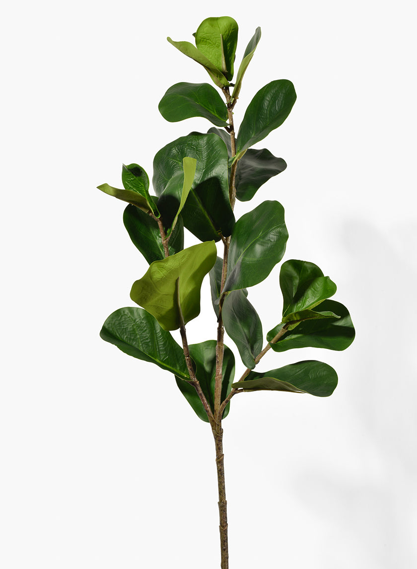 30in Fiddle Leaf Fig Spray