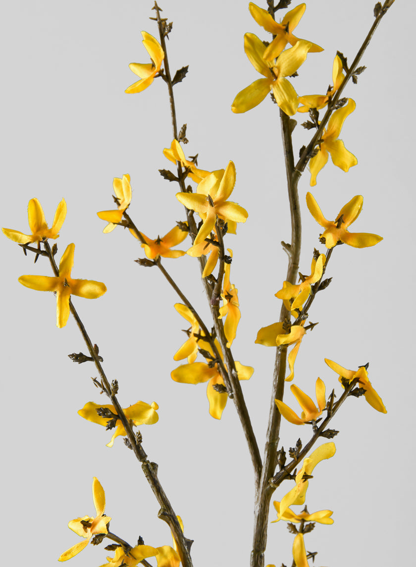 24in Long Blooming Forsythia Branch