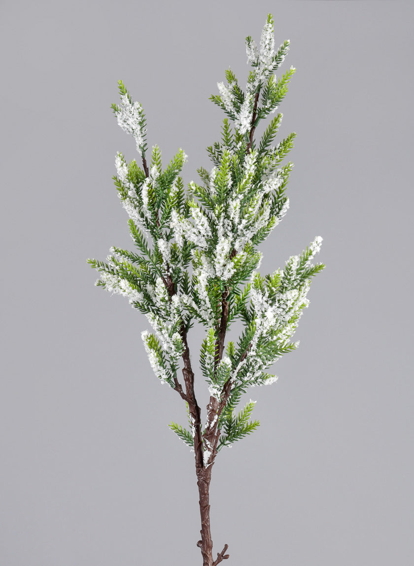 33 in Single trifoliate pine stem x 2 branches with snow