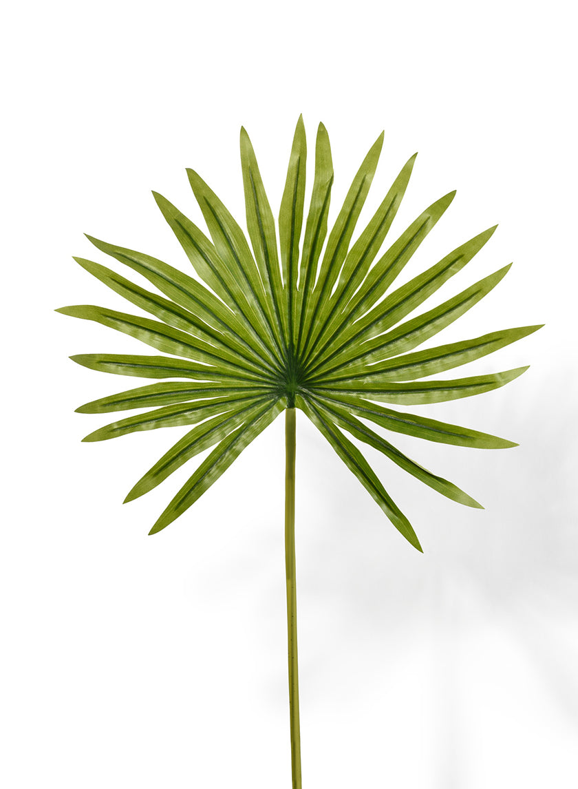 19in Mini Fan Palm Leaf